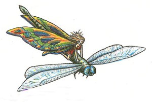 Fairy_riding_Dragonfly copy