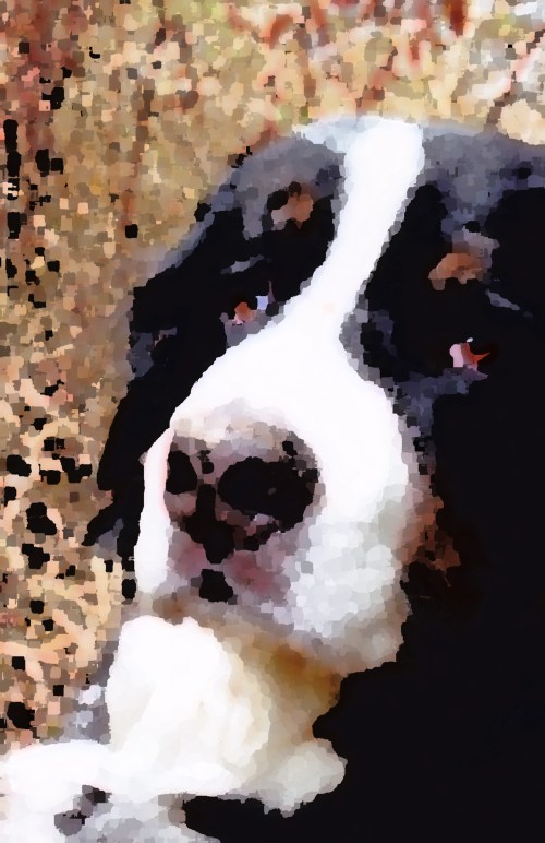 farley-pallette-knife copy-1